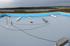 18156389_1791574844493340_4504558642028085248_n