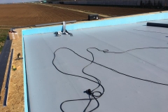 18157157_1791574481160043_8135824194829409372_n