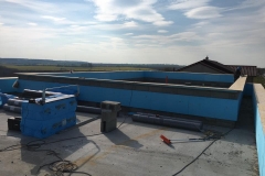 18221576_1791574014493423_4917717802756243956_n